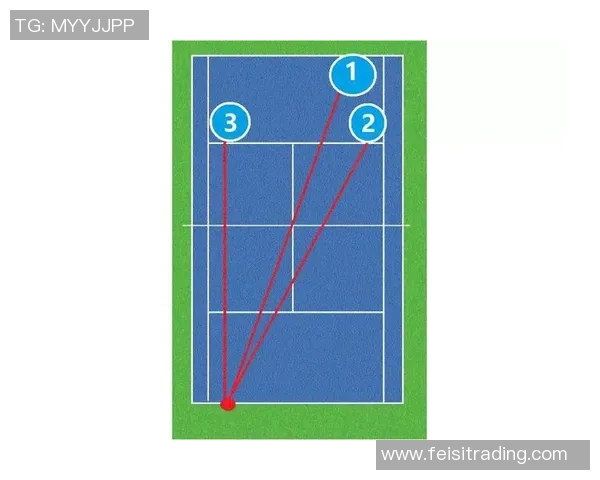 南京网球队防反体系解析与战术运用探讨