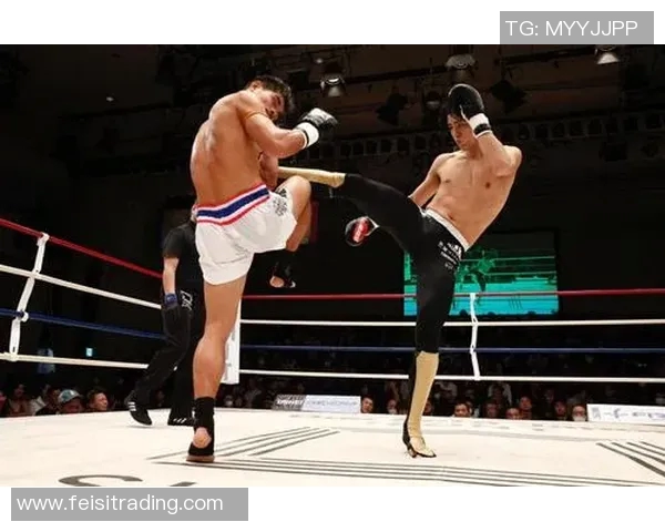 罗宾逊与拉莫诺的巅峰对决谁将成为拳坛新王者