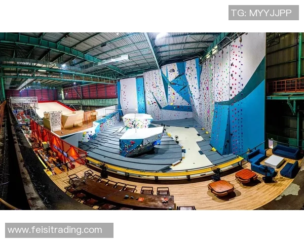 攀岩巨献：深入解析上海攀岩队默契配合与训练背后的故事