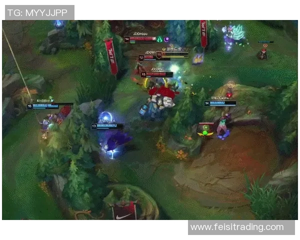 赛后分析：JDG与RNG在团队协作中的精彩表现与策略探讨